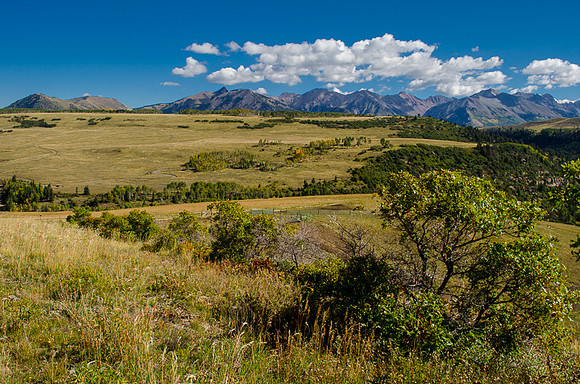 Telluride, CO  2014