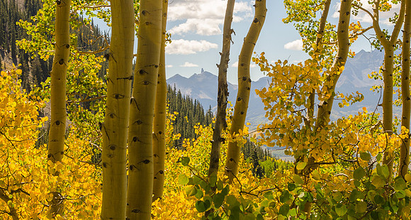 Telluride, CO  2014