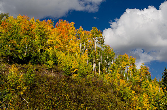 Telluride, CO  2014