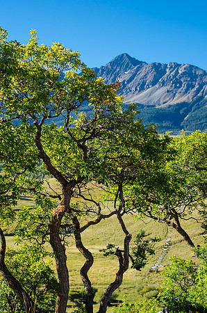 Telluride, CO  2014