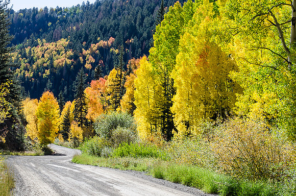 Telluride, CO  2014