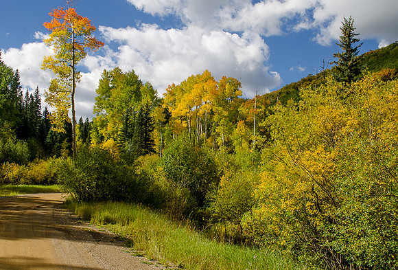Telluride, CO  2014