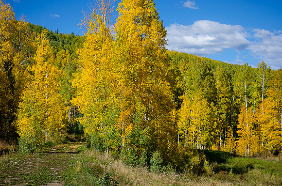 Telluride, CO  2014