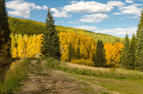 Telluride, CO  2014
